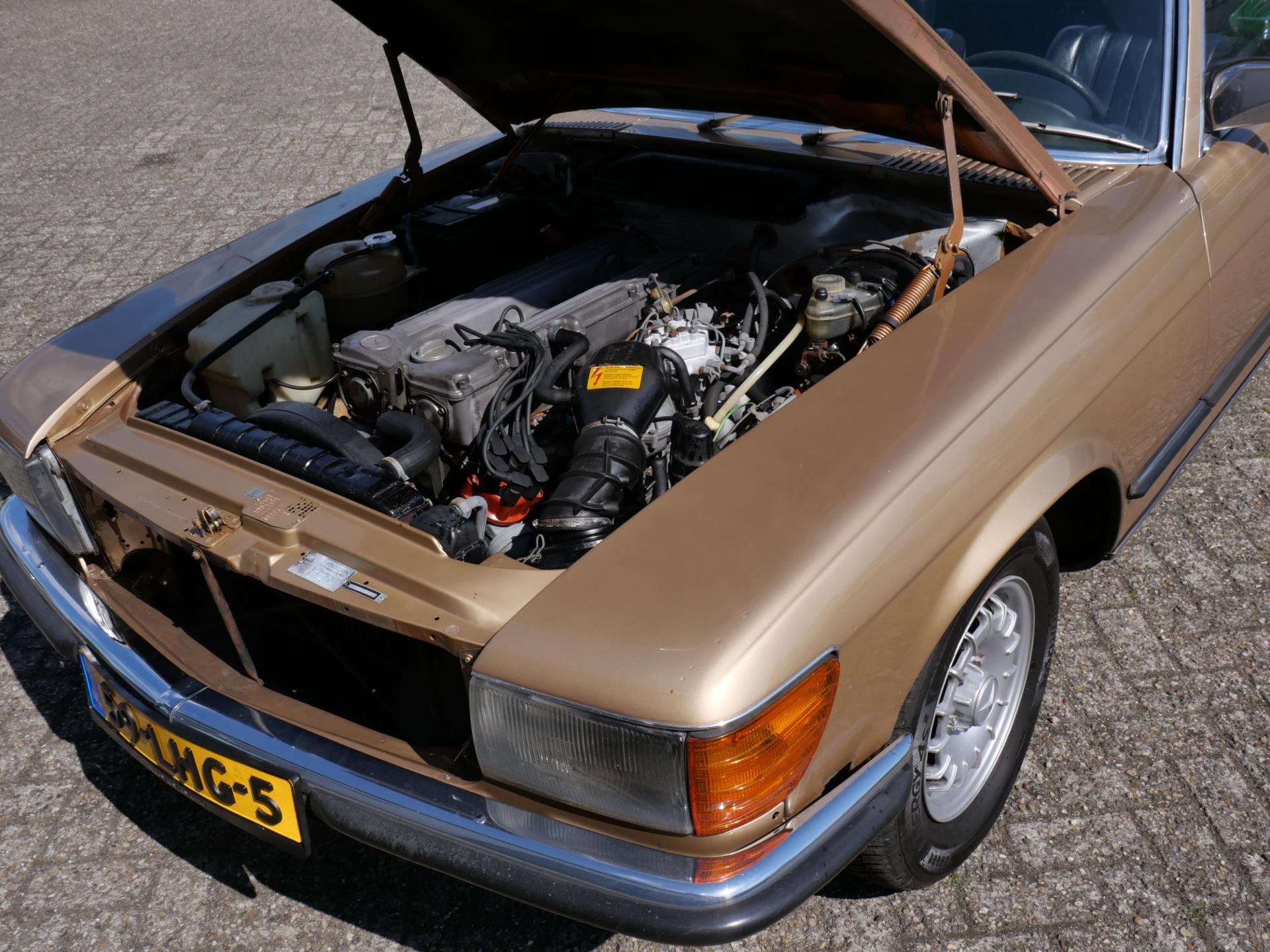 46454797-16.jpg
