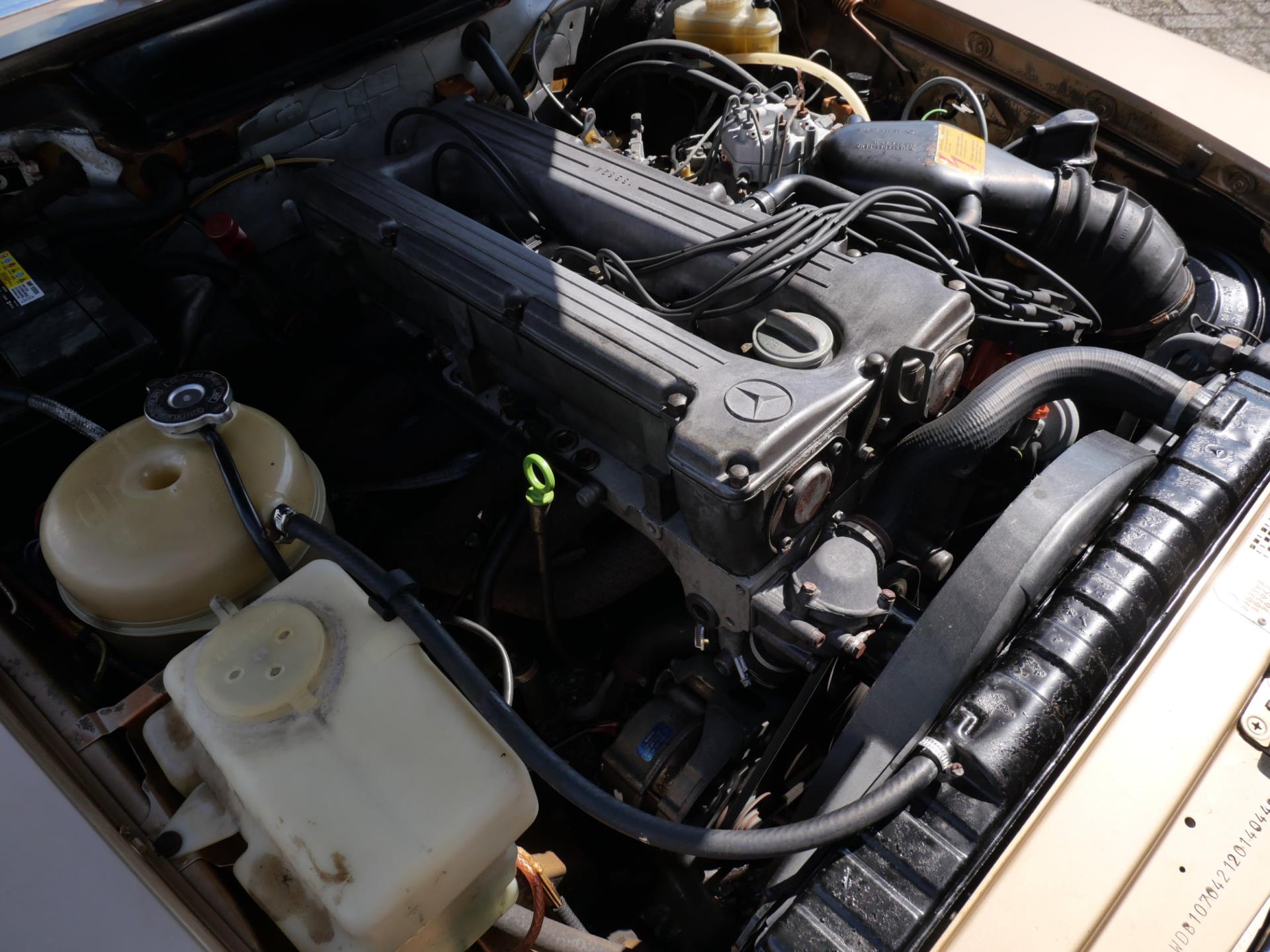 46454797-18.jpg