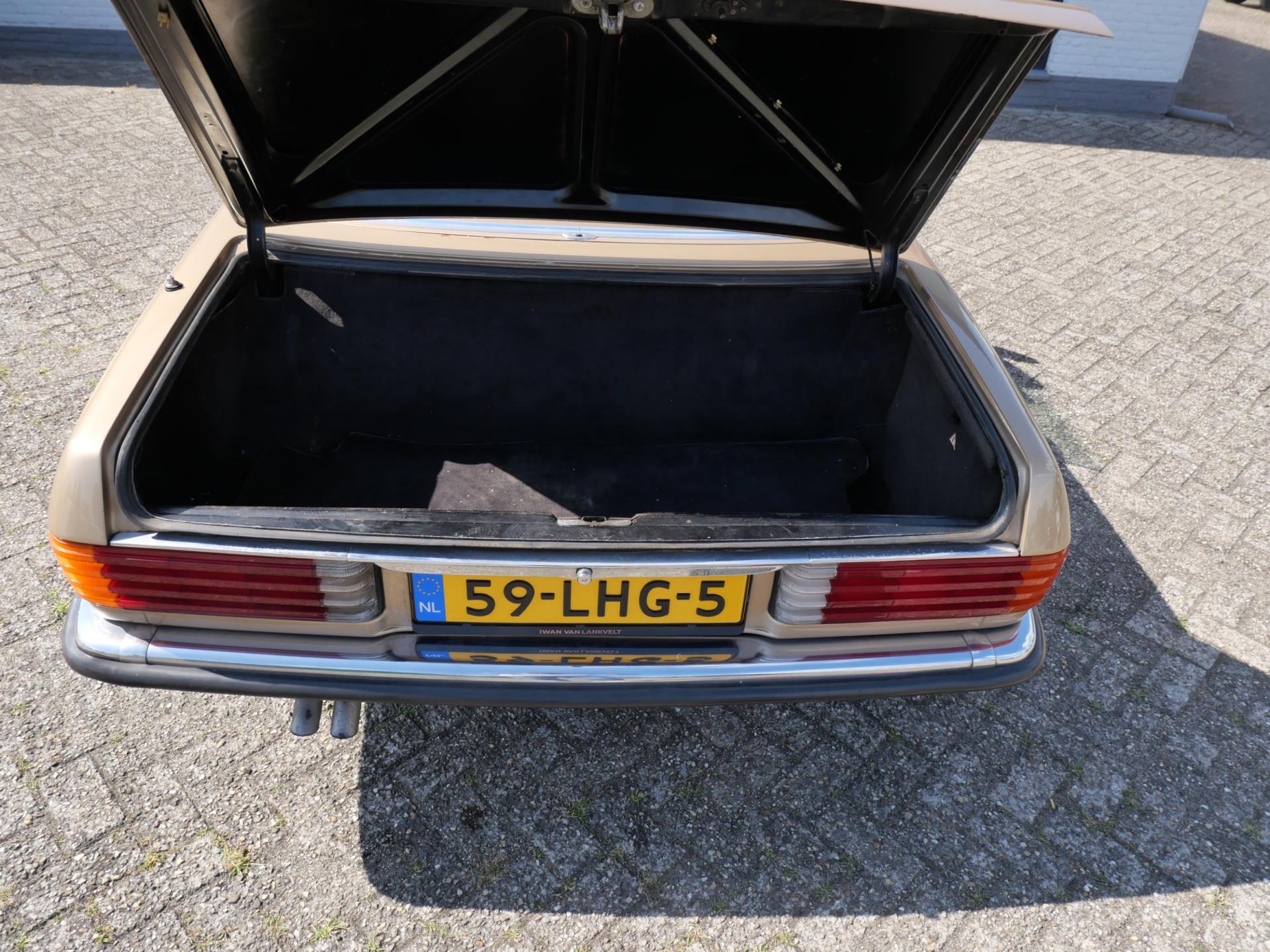 46454797-22.jpg