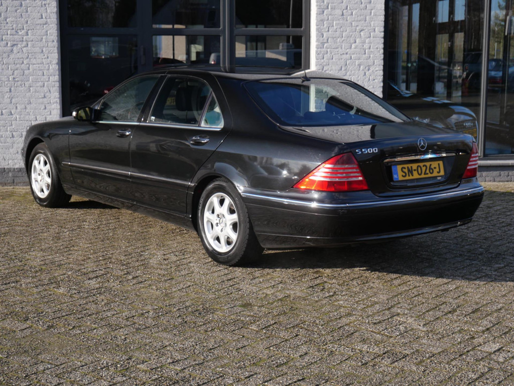 51369316-1.jpg