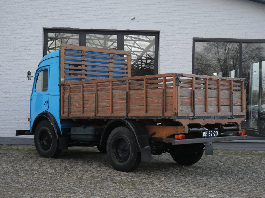 51979056-1.jpg